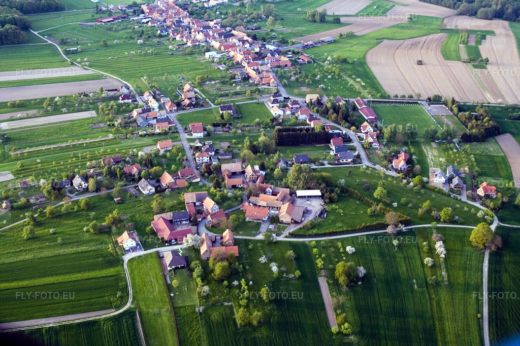 Vue aérienne: Champs agricoles et terres arables à Laubach dans le département Bas Rhin, France. Photo: IMG_10691.jpg prise le 04/05/2008 par Werner Riehm/FLY-FOTO.eu – Résolution de l'original: 3456 x 2304 px