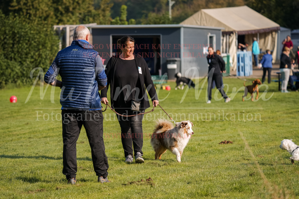 20250928_Hunderennen-3 | MuT (Mensch und Tier) mit Mona - Fotografie und Tierkommunikation - Realisiert mit Pictrs.com