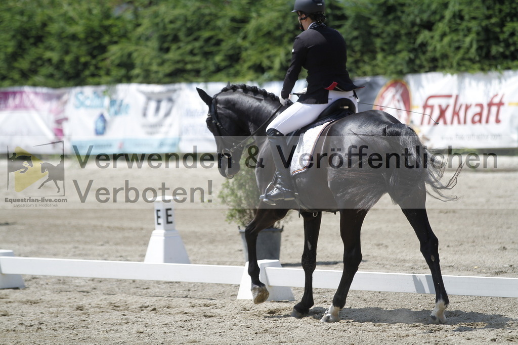 _MG_1581 | equestrian-live-com