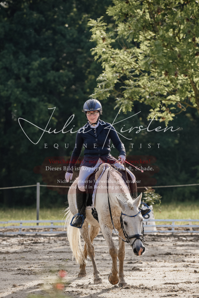 DSC_8071 | Pferde- und Turnierfotografie in Westsachsen. Pferdeportraits, Auftragszeichnungen und intuitive Kunst.