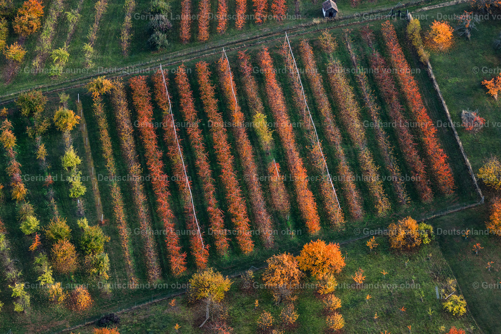 3808228 | Herbstliche Bäume bei Rödlas