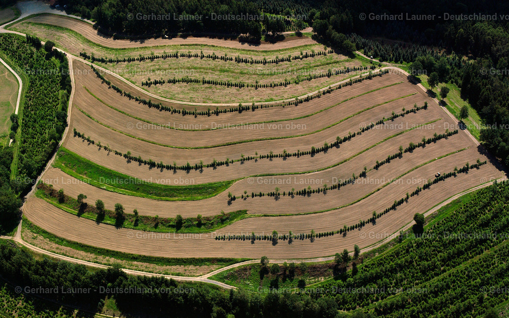 2519457 | SONNBERG 01.08.2005 Strukturen auf landwirtschaftlichen Feldern  in Sonnberg im Bundesland Bayern, Deutschland // Structures on agricultural fields  in Sonnberg in the state Bavaria, Germany Foto: Gerhard Launer