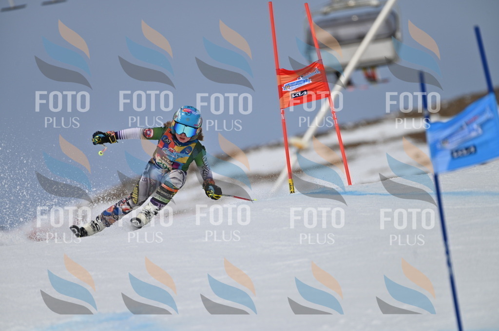 BGV_5781 | holidayphoto