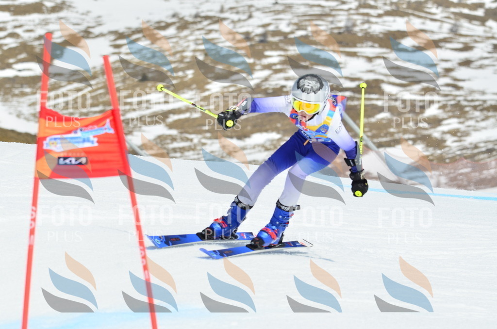 _ELE2077 | holidayphoto