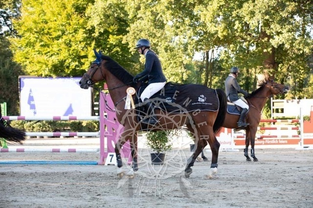 2B4A0852 | pixelfaenger - Realisiert mit Pictrs.com