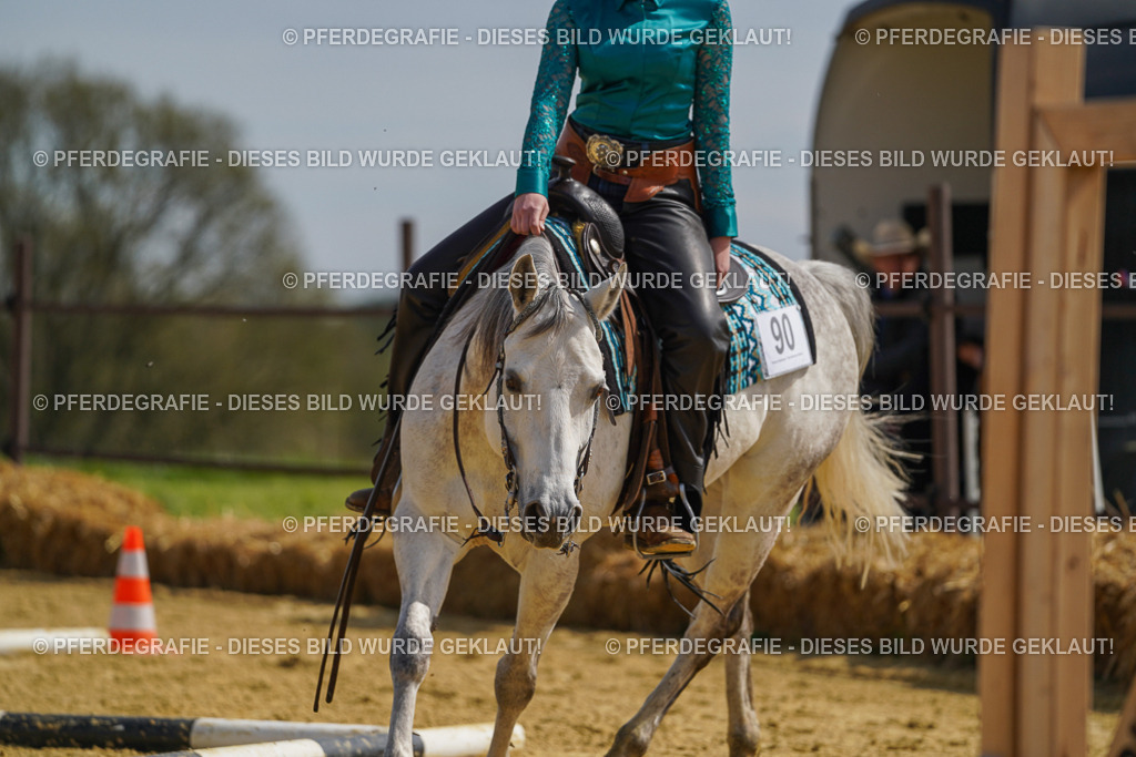 DSC04555 | Pferdegrafie