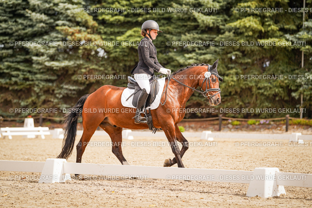 DSC01962 | Pferdegrafie