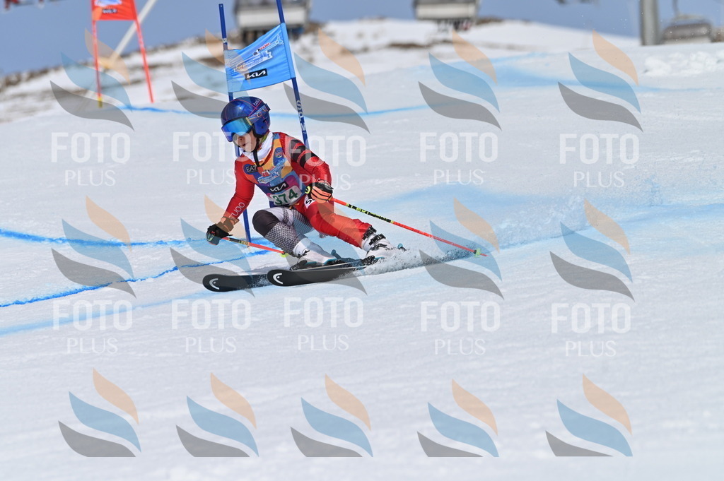 BGV_3401 | holidayphoto