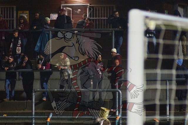 BFC Dynamo vs. FSV 63 Luckenwalde 007 | mythos-online-redaktion