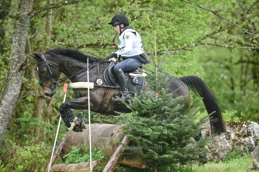 20230513_CCI2_Section2_Gelände_0435 | equistock