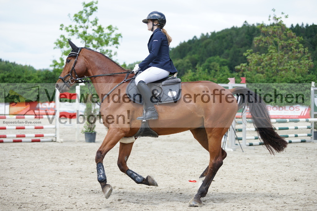 DSC06464 | equestrian-live-com