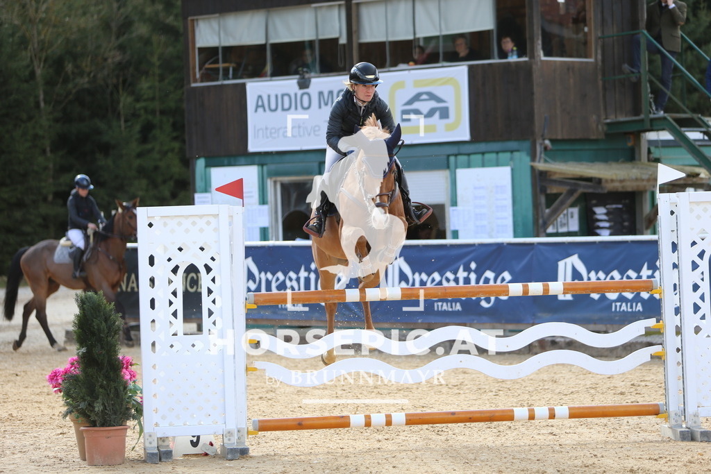 DL2Q0370 | Willkommen bei Brunnmayr - Design & Fotografie – Ihrem Spezialisten für Reitturniere und Pferdeveranstaltungen in Oberösterreich, Salzburg und Bayern! Seit über 17 Jahren sind wir leidenschaftlich dabei.