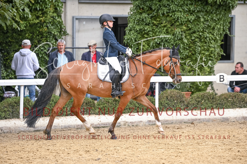 Schugtsche-Aluta25-44.DresssurreiterWB-283 | Schugtsche Fotografie - Realisiert mit Pictrs.com