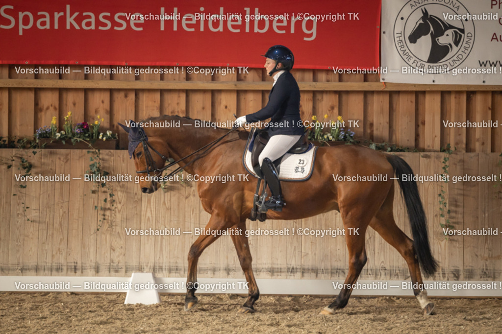 _D5A3234 | Emotionale Pferde- & People-Fotografie rund um Heidelberg, Leimen & Umgebung. Natürliche Fotos von Pferd, Mensch & Familie. Jetzt Termin sichern!