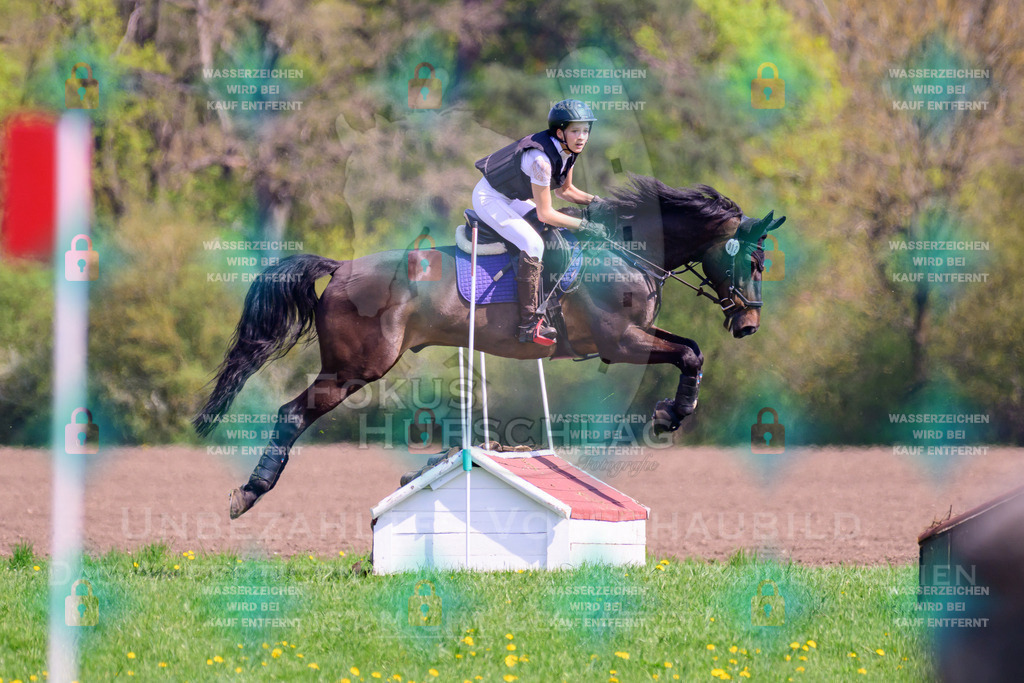 18042026-Gernlinden-01-1-0168 | Fokus Hufschlag Fotografie - Realisiert mit Pictrs.com