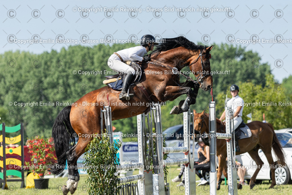 CL5A5219 | Emilia Reinking Fotografie - Realisiert mit Pictrs.com