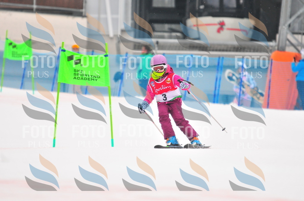 C0529 | holidayphoto