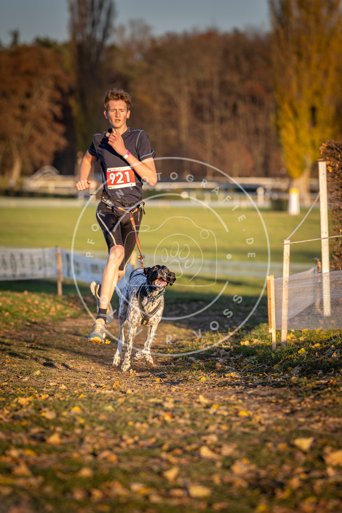 CaniXpix_DV3A4941 | Hundefotografie, Tierfotograf, Pfotenfotografie, Fotoshooting Hund, Hunde Portrait, Hundesport, Hundeportraits, Heideshooting, Hunde, Sportfotograf, Hundefotograf, Turnierhundsport, THS,  - Realisiert mit Pictrs.com