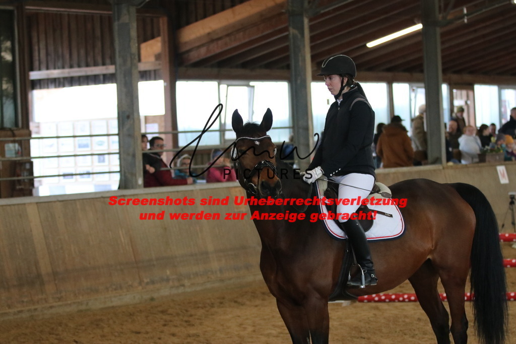 IMG_5386 | lmwpictures - Realisiert mit Pictrs.com