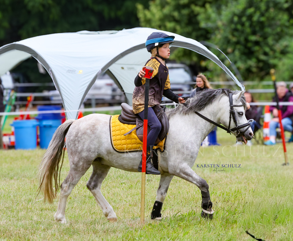 1B3A0312 | Reitsport Reiten