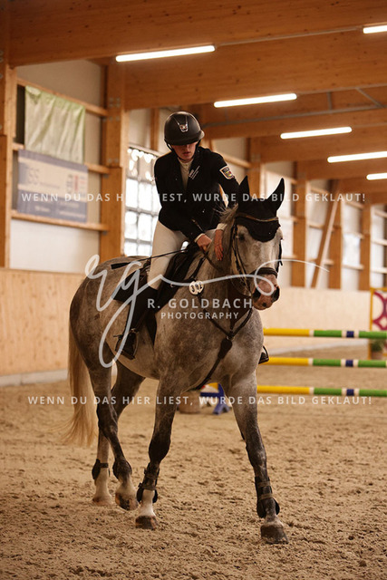 1J2A4247Alina Maack_ Karat du Scal__ Kn302_ Hohen Wieschendorf_ Glantz | Foto- und Videografie für alles rund ums Pferd. Hochwertige Bilder und Videos vom Spring- und Dressurreiten, Voltigieren & mehr. Jetzt aktuelle Veranstaltungen und Preise im Shop ansehen. - Realisiert mit Pictrs.com