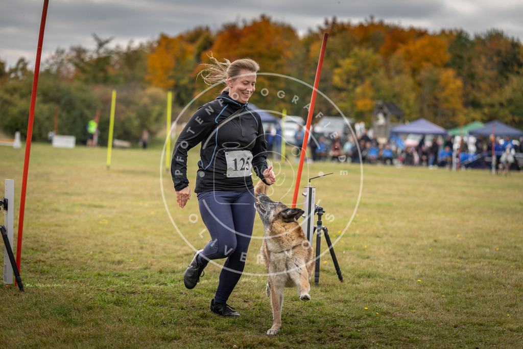 Pfotenfotografie_DV3A6934 | Hundefotografie, Tierfotograf, Pfotenfotografie, Fotoshooting Hund, Hunde Portrait, Hundesport, Hundeportraits, Heideshooting, Hunde, Sportfotograf, Hundefotograf, Turnierhundsport, THS,  - Realisiert mit Pictrs.com