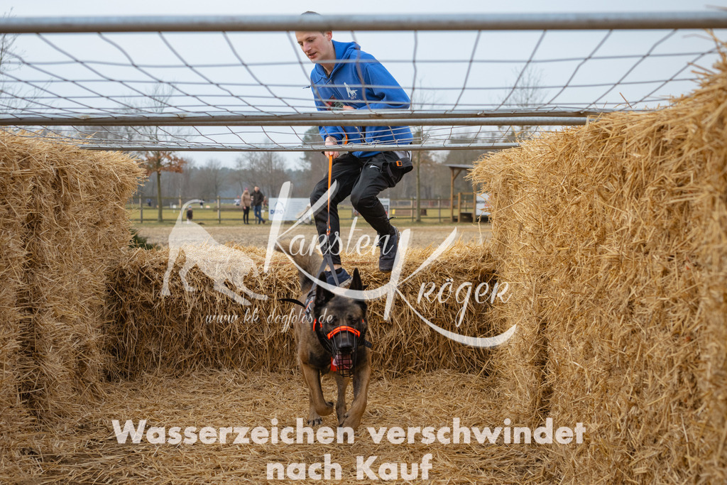 0916_ZZ97628 | kk-dogfotos