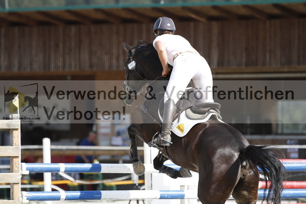_MG_5277 | equestrian-live-com