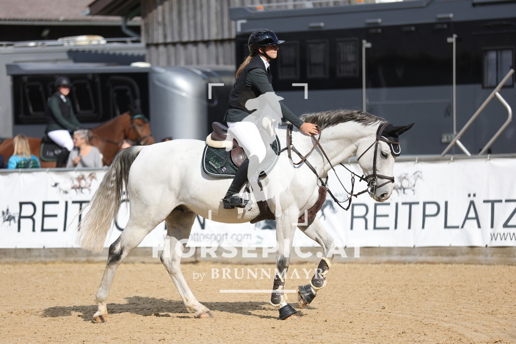 0P6A3201 | Willkommen bei Brunnmayr - Design & Fotografie – Ihrem Spezialisten für Reitturniere und Pferdeveranstaltungen in Oberösterreich, Salzburg und Bayern! Seit über 17 Jahren sind wir leidenschaftlich dabei.