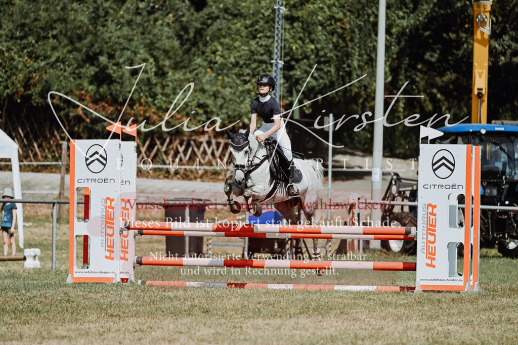 DSC_0035 | Pferde- und Turnierfotografie in Westsachsen. Pferdeportraits, Auftragszeichnungen und intuitive Kunst.