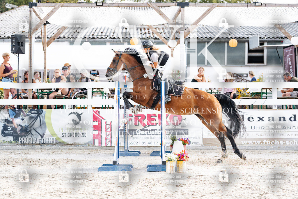 CK906913 | Turnierfotografie Pferdefotografie Trier Rheinland-Pfalz Pferdesport Reitsport Tierfotografie Sportfotografie Pferdevideo Pferdevideografie Equestrianvideography equestrianphotography  - Realisiert mit Pictrs.com
