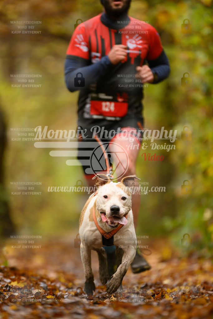 MompixPhotography_CD7S_DI_CCL-79 | mompixphotography