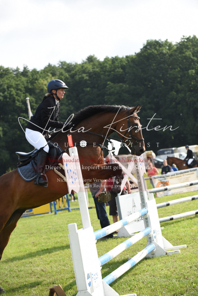 DSC_8751 | Pferde- und Turnierfotografie in Westsachsen. Pferdeportraits, Auftragszeichnungen und intuitive Kunst.