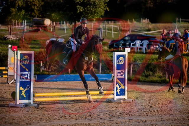 2026_10_03_Siefer-Hof_171049_Z81_07827921 | Professionelle Reitsport-, Turnier- und Eventfotografie von Robert Broda. Galerien mit ausgewählten und bearbeiteten Bildern direkt online ansehen und bestellen.