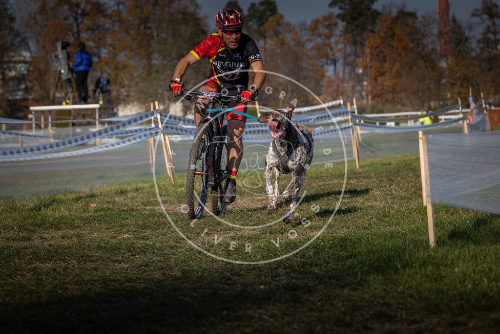 CaniXpix_0L8A6654 | Hundefotografie, Tierfotograf, Pfotenfotografie, Fotoshooting Hund, Hunde Portrait, Hundesport, Hundeportraits, Heideshooting, Hunde, Sportfotograf, Hundefotograf, Turnierhundsport, THS,  - Realisiert mit Pictrs.com