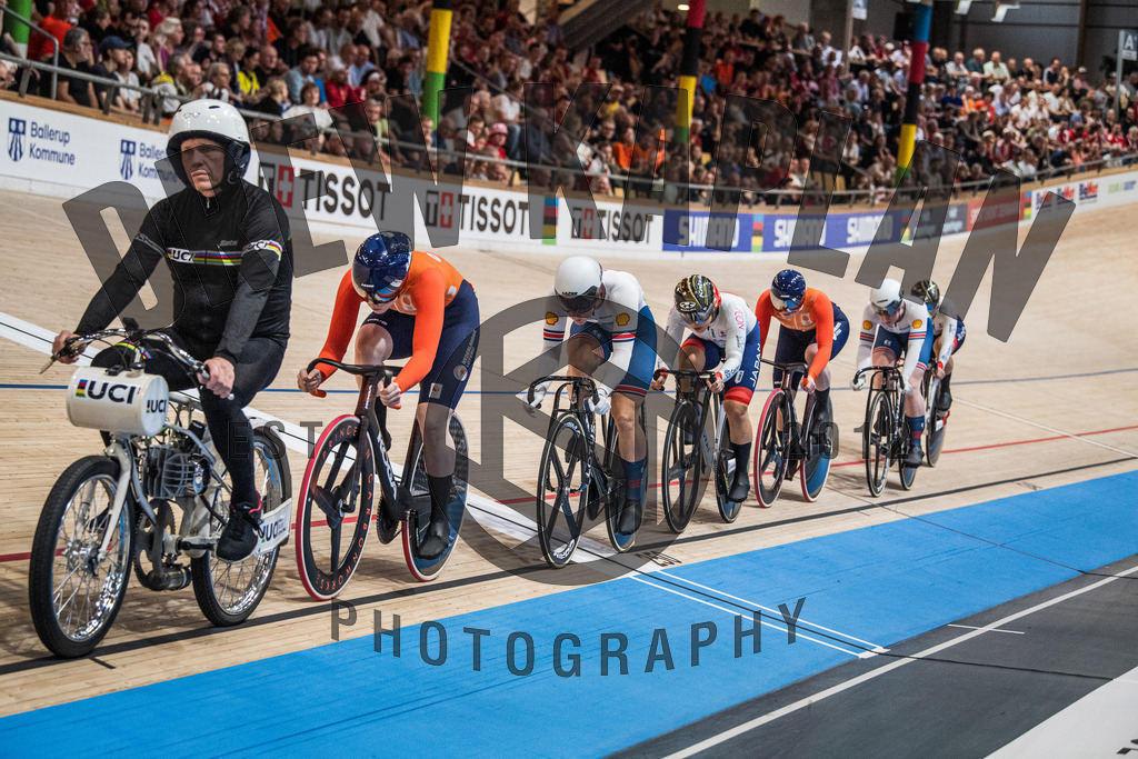 DKP-6919 | Drew Kaplan Photography