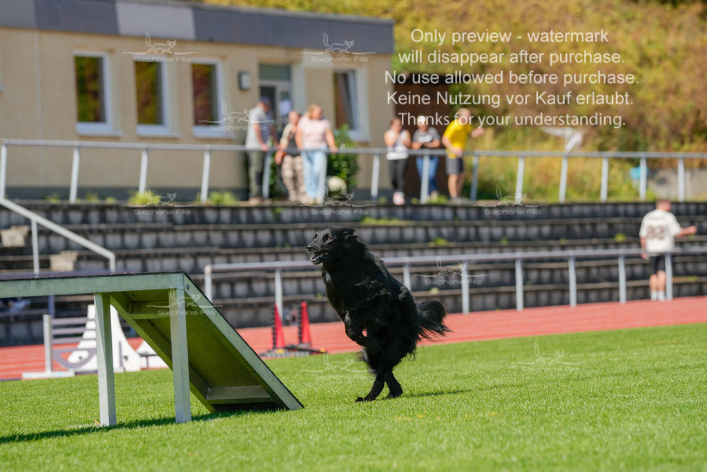 Sonntag_VK Hindernis (326 von 671) | stephaniefillaphotographie - Realisiert mit Pictrs.com