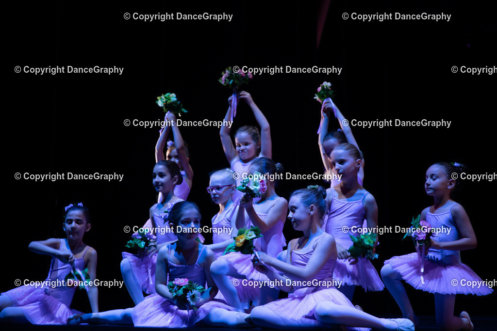 GPHY4879 | DanceGraphy - Realisiert mit Pictrs.com