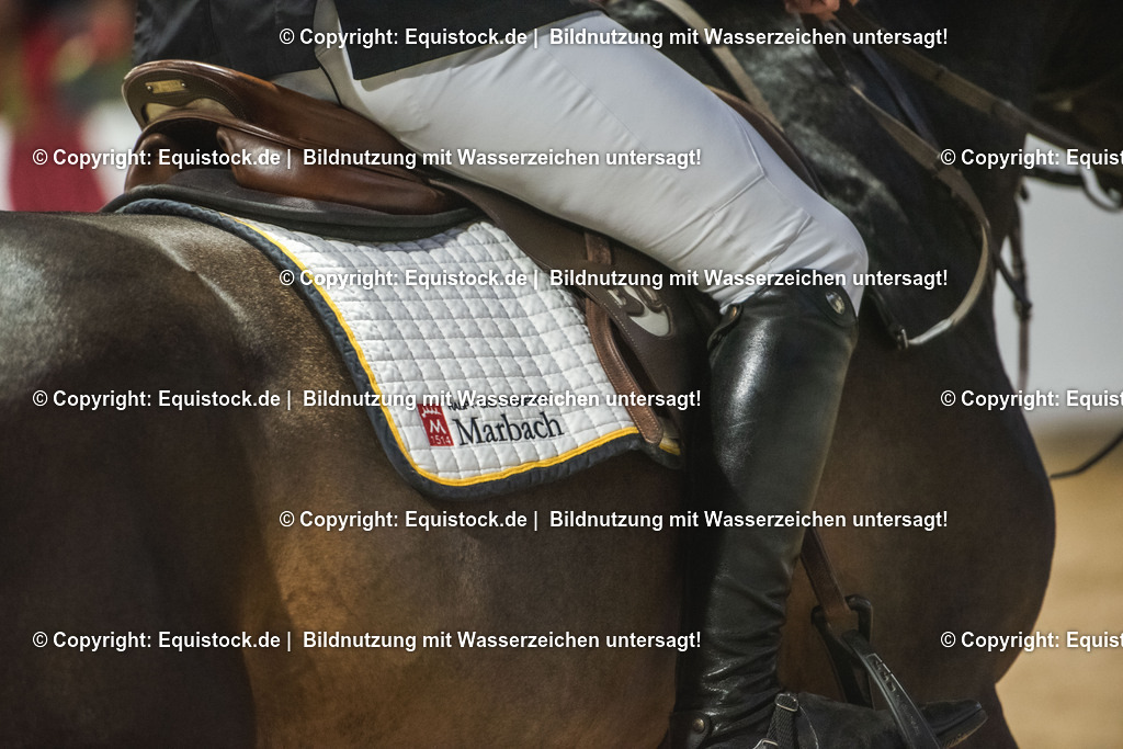 20240302_Hengstvorstellung_Marbach_TOMsPiC_0114 | equistock