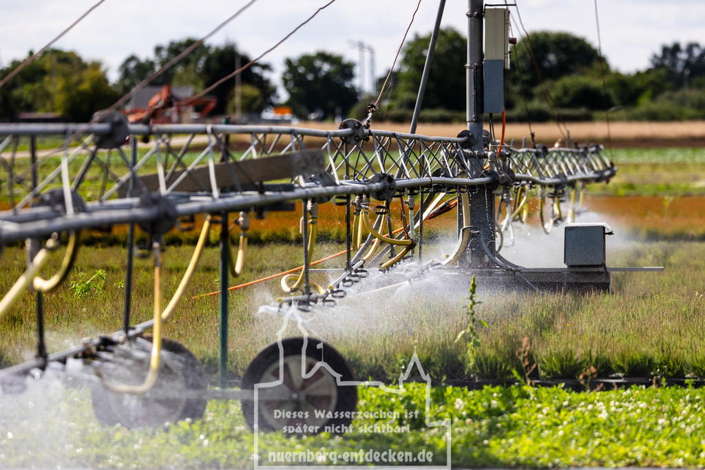 Knoblauchsland Nürnberg | Nahaufnahme einer Bewässerungsanlage, die Wasser über die Felder im Knoblauchsland, Nürnberg, verteilt. Die Diskussion um den Wassercent in Bayern betrifft auch die Landwirte dieser Region, die möglicherweise für die Wassernutzung zur Bewässerung ihrer Felder zahlen müssen. - Realisiert mit Pictrs.com