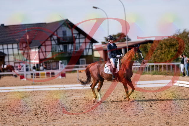 2026_10_03_Siefer-Hof_133156_Z81_87520893 | Professionelle Reitsport-, Turnier- und Eventfotografie von Robert Broda. Galerien mit ausgewählten und bearbeiteten Bildern direkt online ansehen und bestellen.