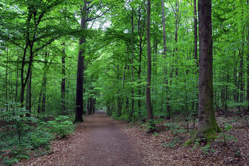 Kriebstein - Wanderung entlang des Lutherweg Sachsen | Entdecke über 20 Kategorien Leipzig-Motive: Foto-Downloads, hochwertige Poster, Leinwand- & Fine-Art-Prints. Jetzt Lieblingsfoto im Bildlexikon Leipzig Shop bestellen!