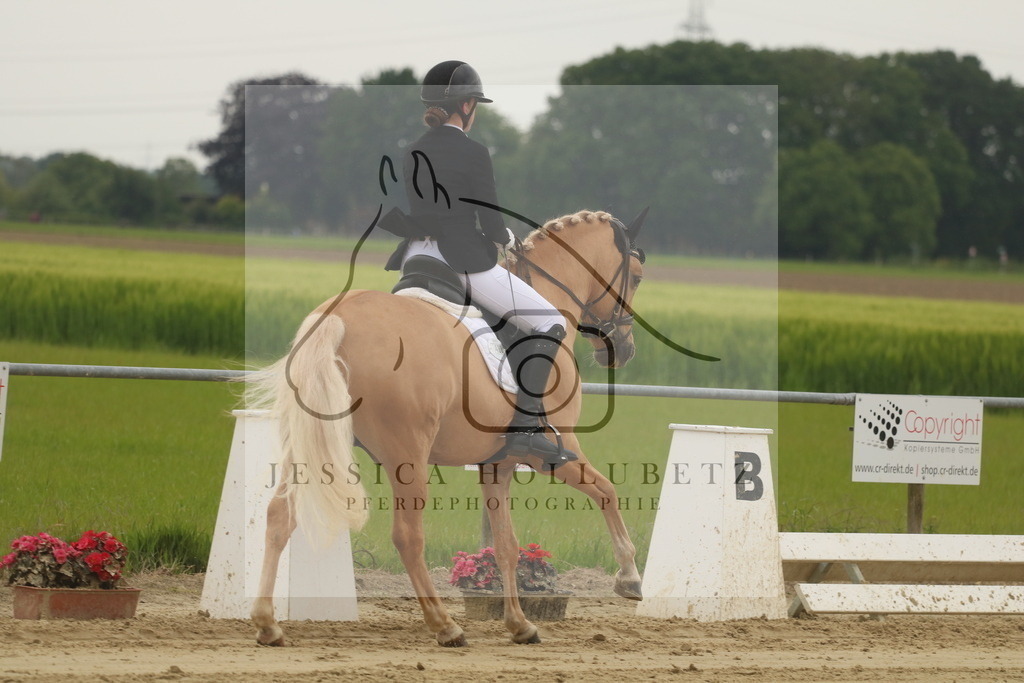 IMG_6637 | jessicahollubetz_pferdephotographie - Realisiert mit Pictrs.com