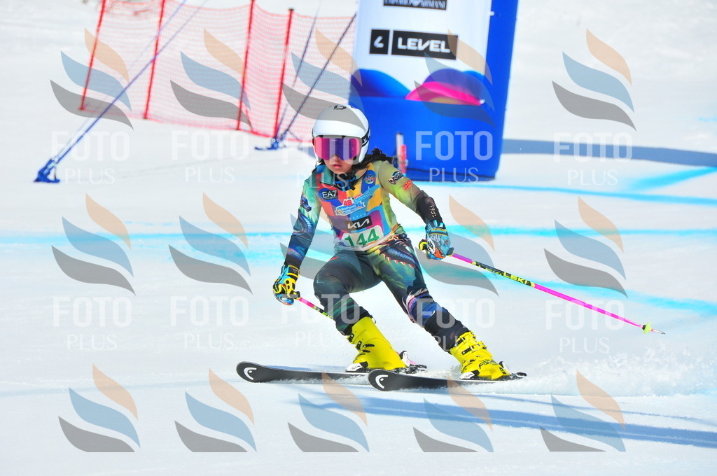 DSC_1218 | holidayphoto