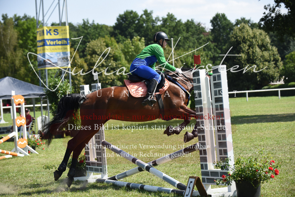 DSC_0265 | Pferde- und Turnierfotografie in Westsachsen. Pferdeportraits, Auftragszeichnungen und intuitive Kunst.
