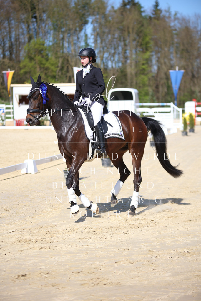 IMGT2428 | pl-fotografie