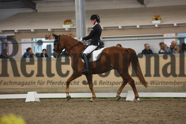 Waghäusel-Wiesental_2024_Prfg.Nr.08_1.WP_U25_Nadia Lachemann_Lissardo (1) | Alle Fotos der Reiterjournal Fotografin Doris Matthaes im Reiterjournal Online-Fotoshop. - Realisiert mit Pictrs.com