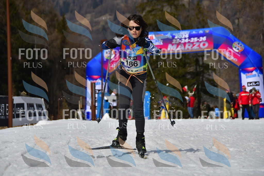 _DSC0884 | holidayphoto