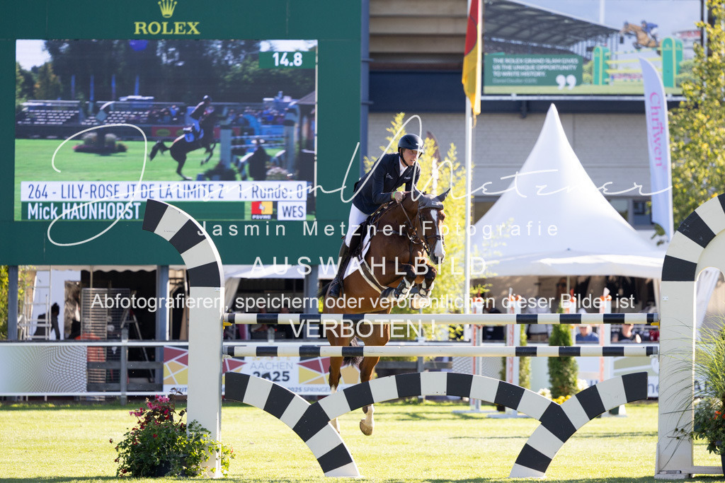 126A8660 | jasminmetznerfotografie