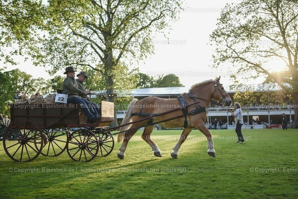 20230526_Pferdenacht_0099 | equistock